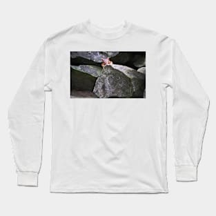 Well, Hello!! Long Sleeve T-Shirt